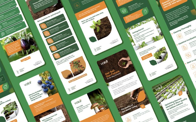 Award case study 5