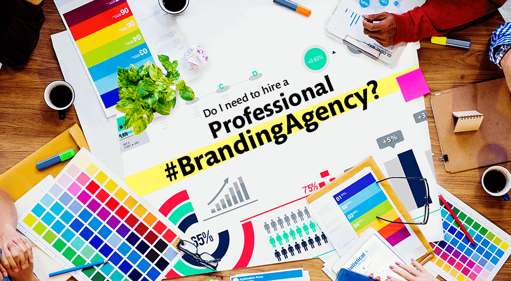 Do I need to hire a Professional Branding Agency?