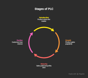 Stages of PLC