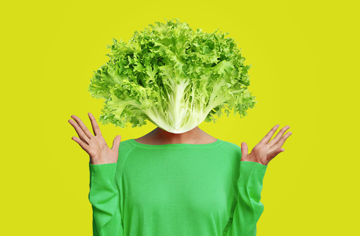 customize web design