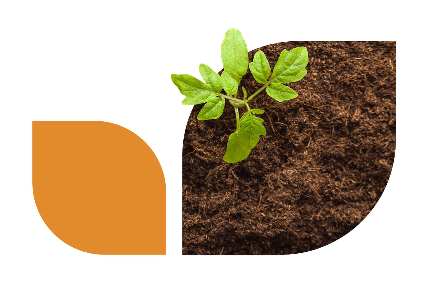 Valar Digital Branding