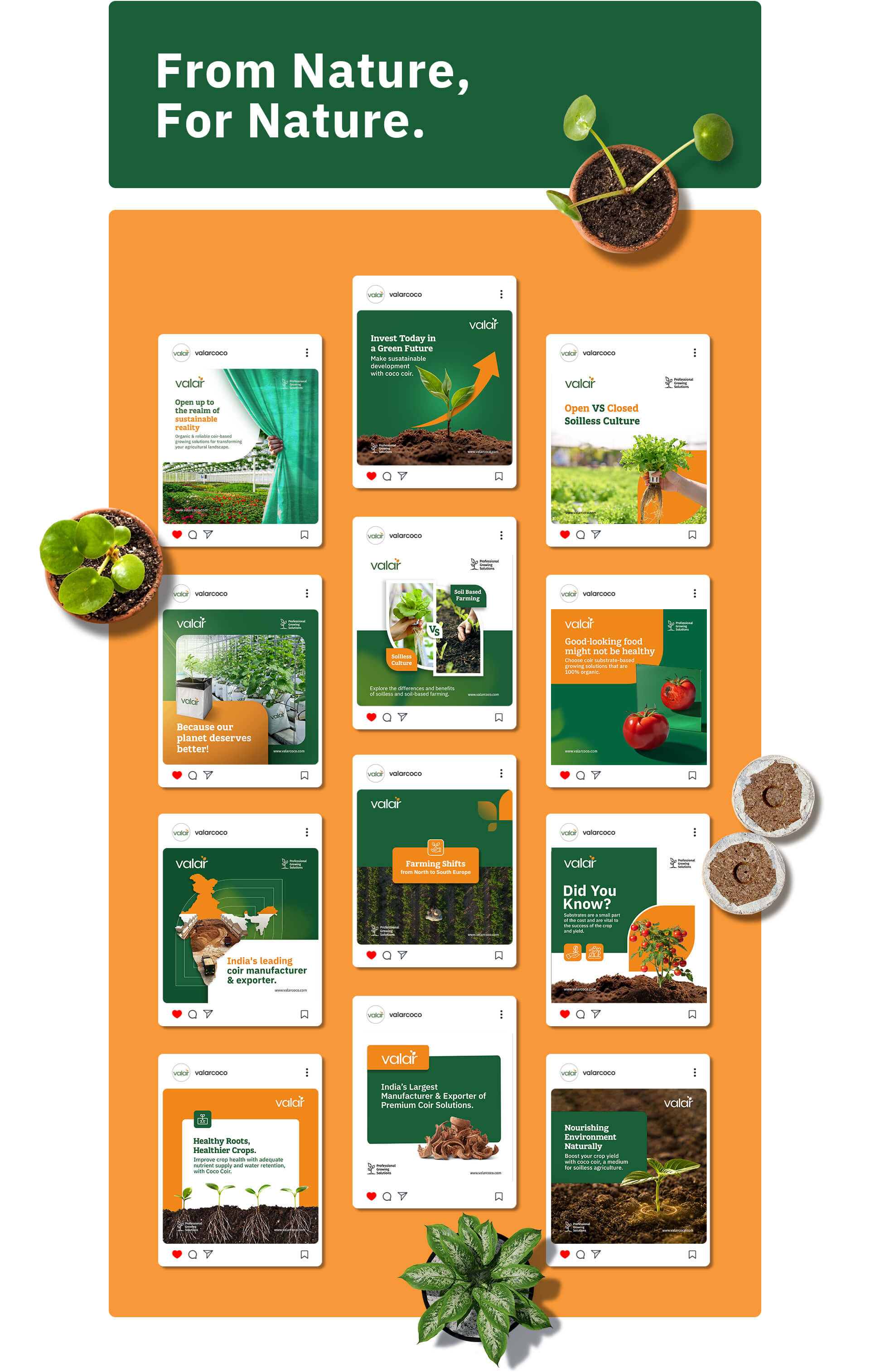 Social Media Creatives for valar By Litmus Branding