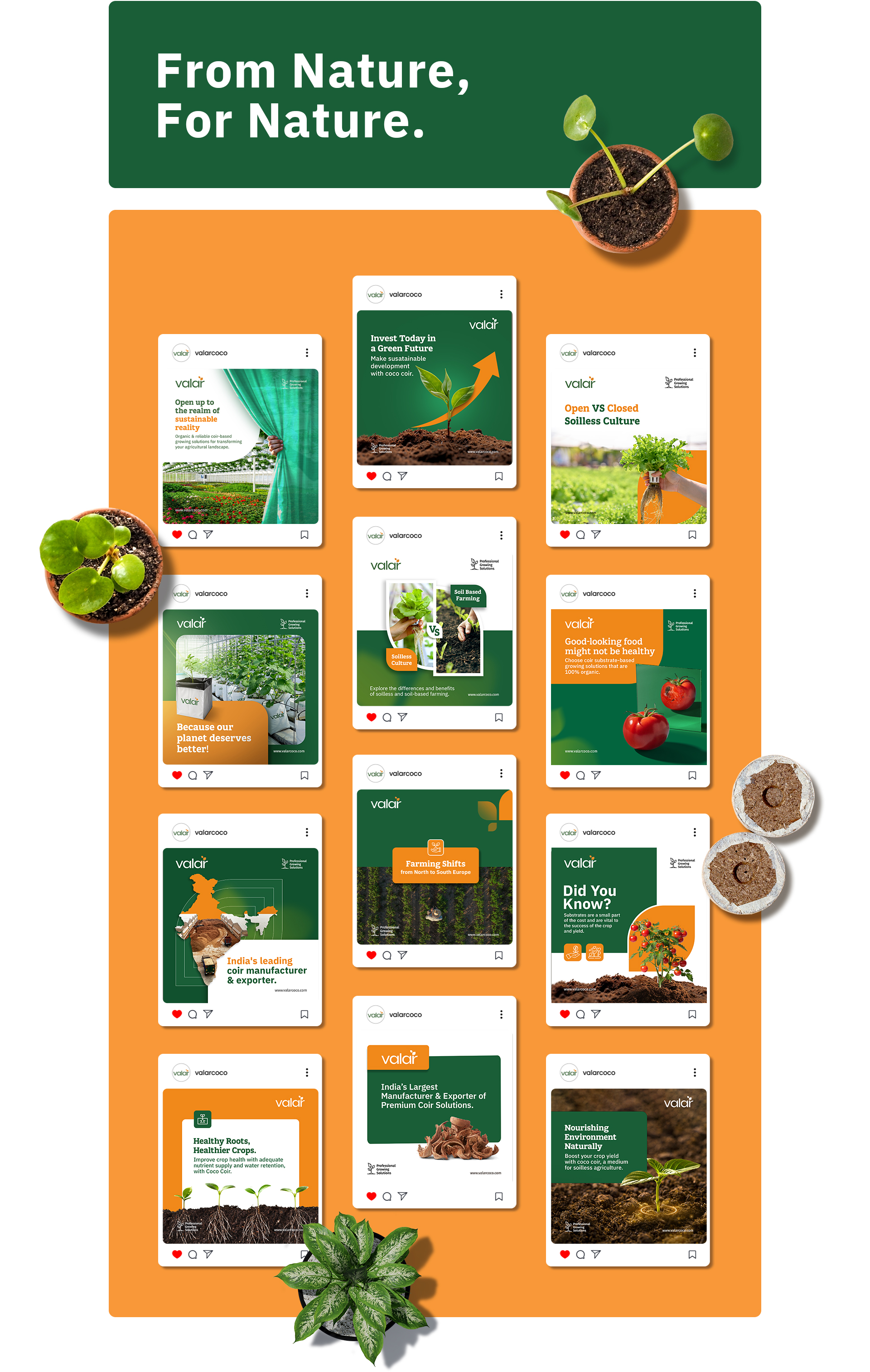 Social Media Creatives for valar By Litmus Branding