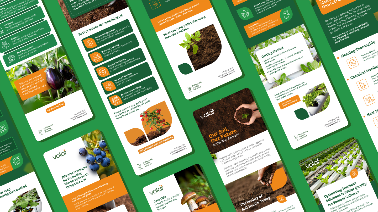 Infographics - 2 For Valar By Litmus Branding