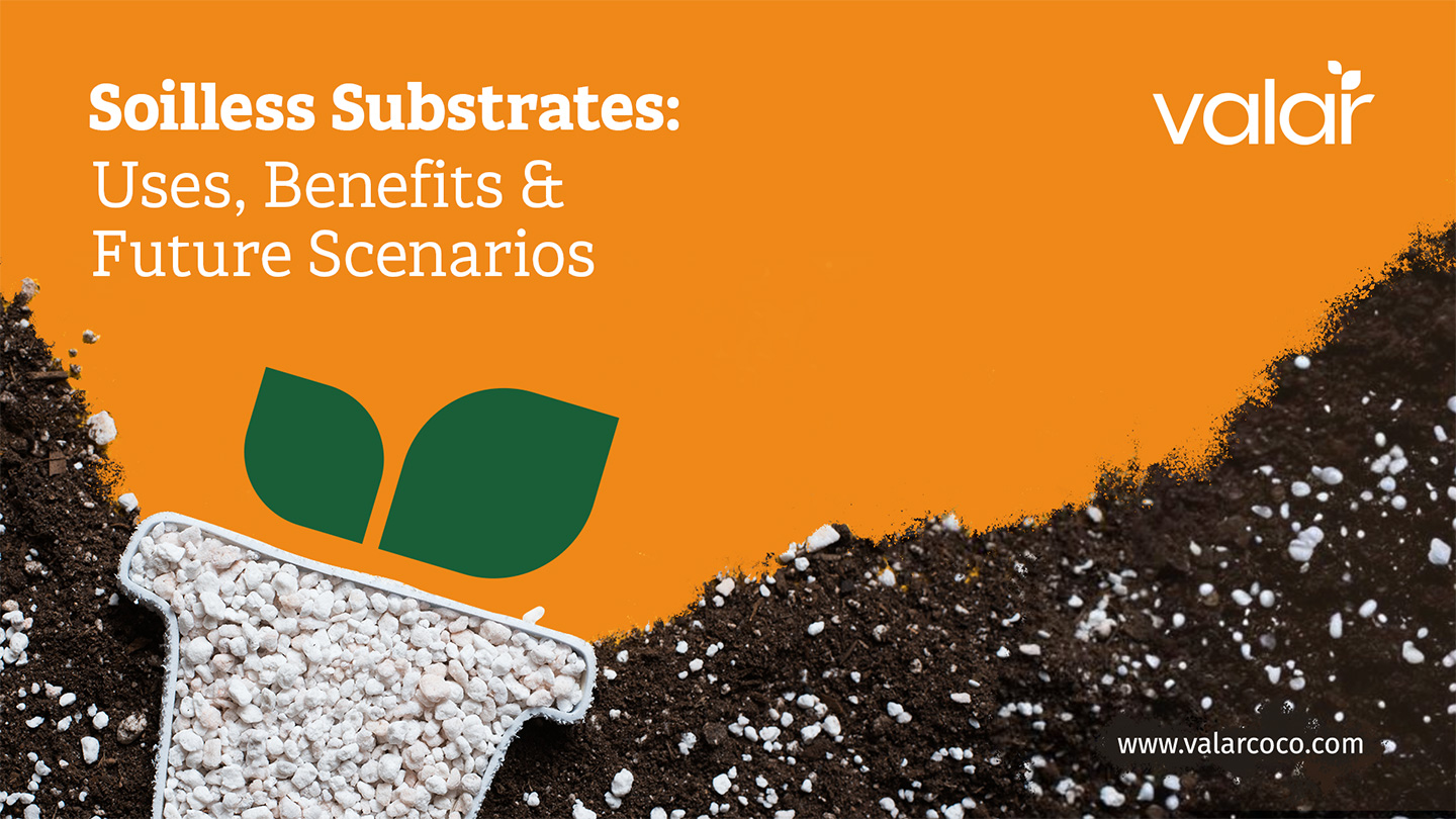 LinkedIn Articles images for Valar by Litmus branding